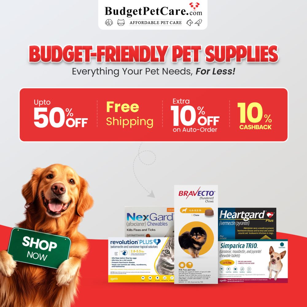BudgetPetCare Banner