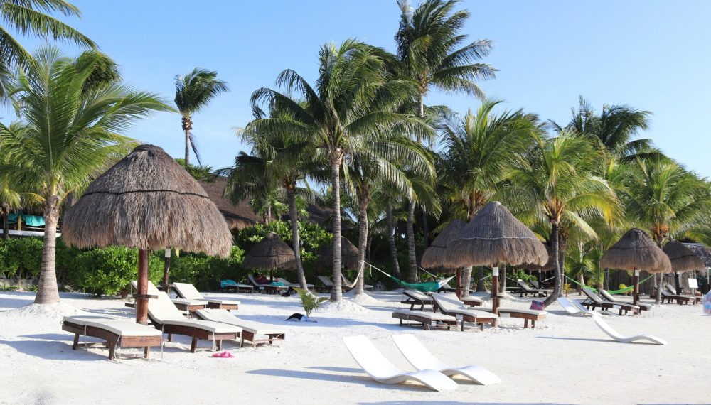 Tropical Image