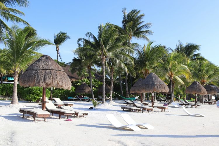 Tropical Image